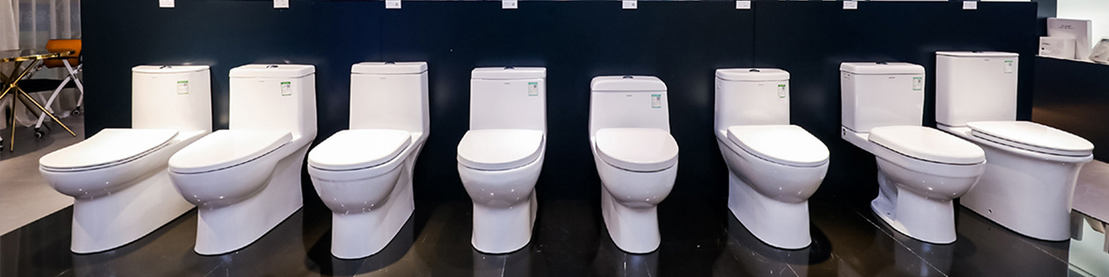 Wall Hung Toilet