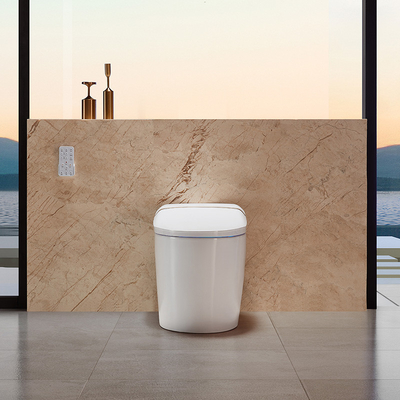 Air Dry Functional Modern Smart Toilet , Siphonic Self Heating Toilet Seat