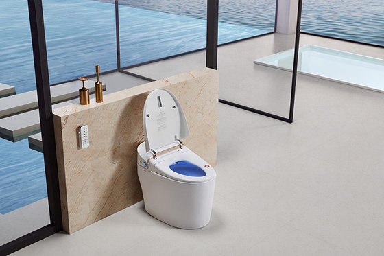 Air Dry Functional Modern Smart Toilet , Siphonic Self Heating Toilet Seat