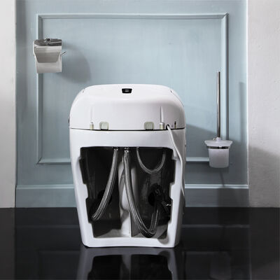 ARROW Electric Smart Toilet with Heated Seat, Siphon Jet Flushing and Self-cleaning Glazed Ceramic