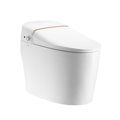 Air Dry Functional Modern Smart Toilet , Siphonic Self Heating Toilet Seat
