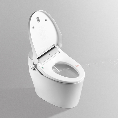 ARROW Smart Toilet Seat 660x400x520mm Water And Air Dry Functional