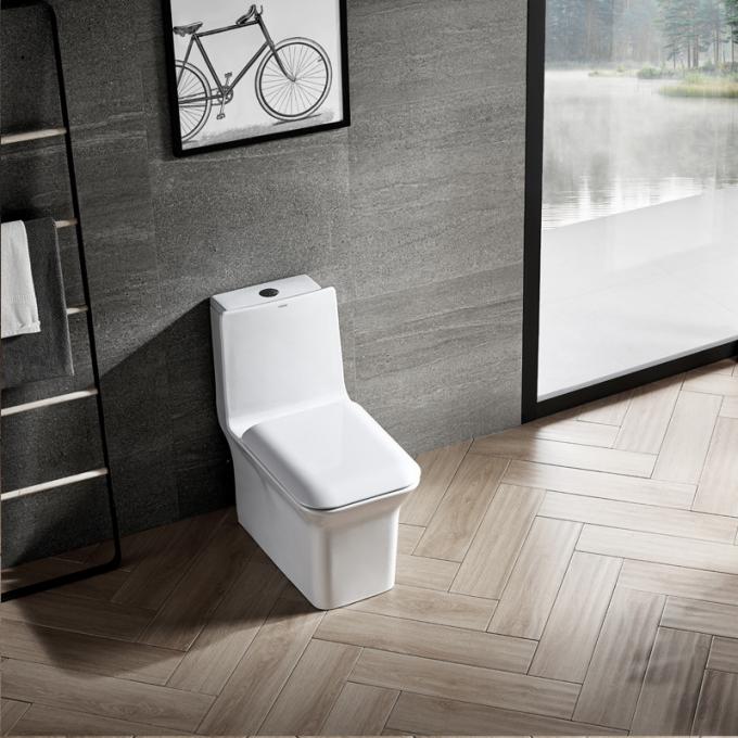 Dual Flush Elongated One Piece Commode Seat Included